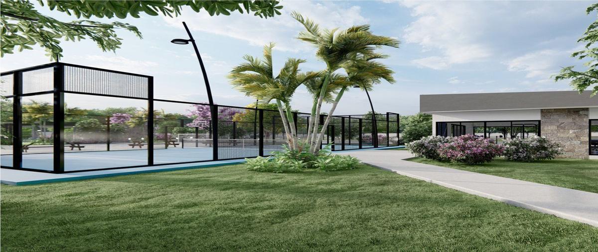 Foto de terreno habitacional en venta en dzityá, mérida, yucatán, 97302 , dzitya, mérida, yucatán, 0 No. 05