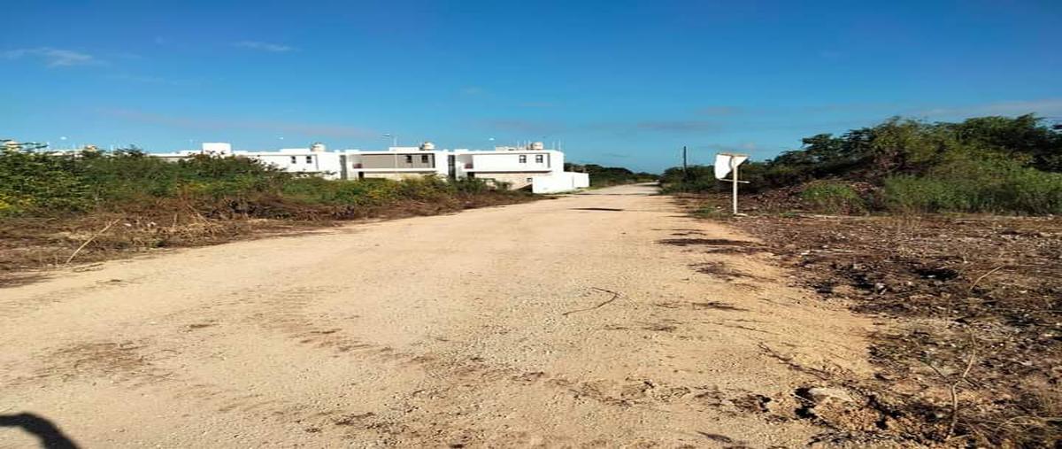 Foto de terreno habitacional en dzitya whi274524, dzitya, mérida, yucatán, 23567155 foto 03 Foto de terreno habitacional en venta en dzitya whi274524, dzitya, mérida, yucatán, 23567155 No. 03