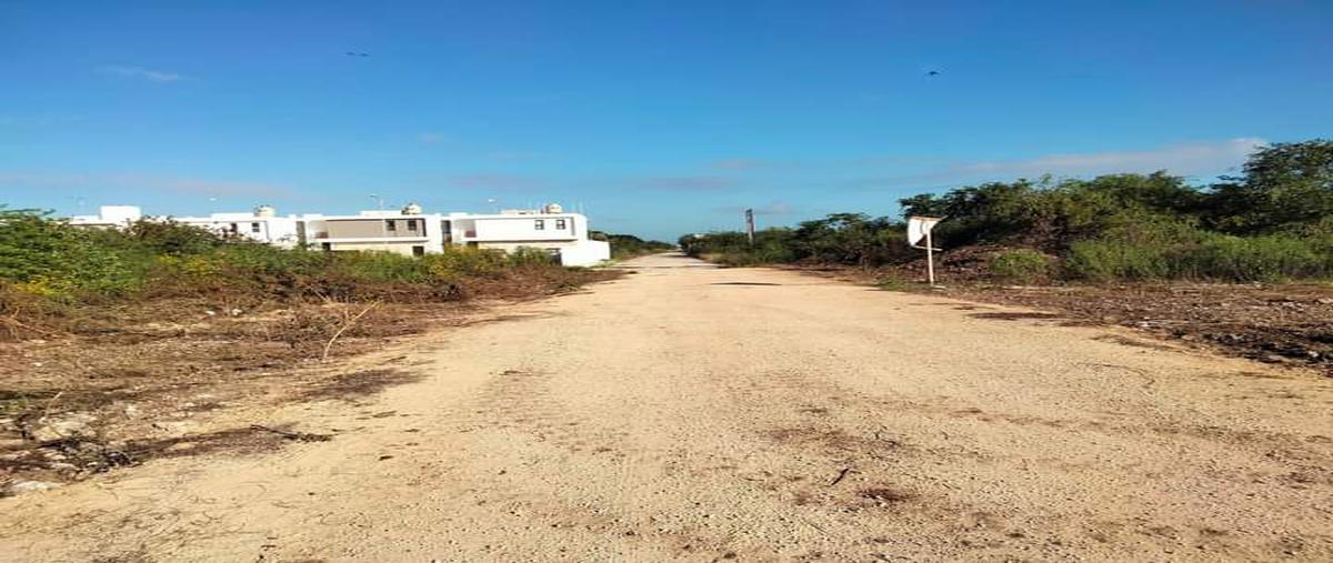 Foto de terreno habitacional en dzitya whi274524, dzitya, mérida, yucatán, 23567155 foto 04 Foto de terreno habitacional en venta en dzitya whi274524, dzitya, mérida, yucatán, 23567155 No. 04