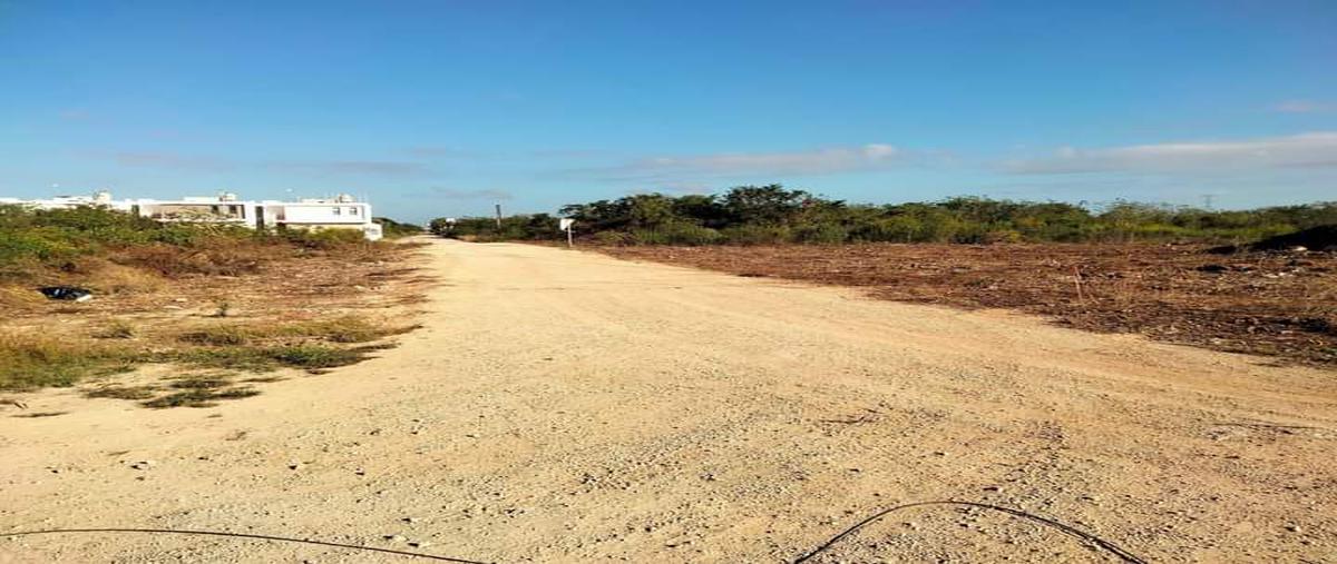 Foto de terreno habitacional en dzitya whi274524, dzitya, mérida, yucatán, 23567155 foto 05 Foto de terreno habitacional en venta en dzitya whi274524, dzitya, mérida, yucatán, 23567155 No. 05
