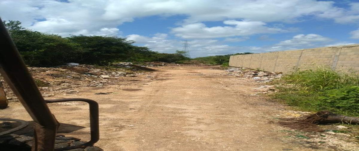 Foto de terreno habitacional en venta en dzitya whi288305, dzitya, mérida, yucatán, 25550564 No. 03