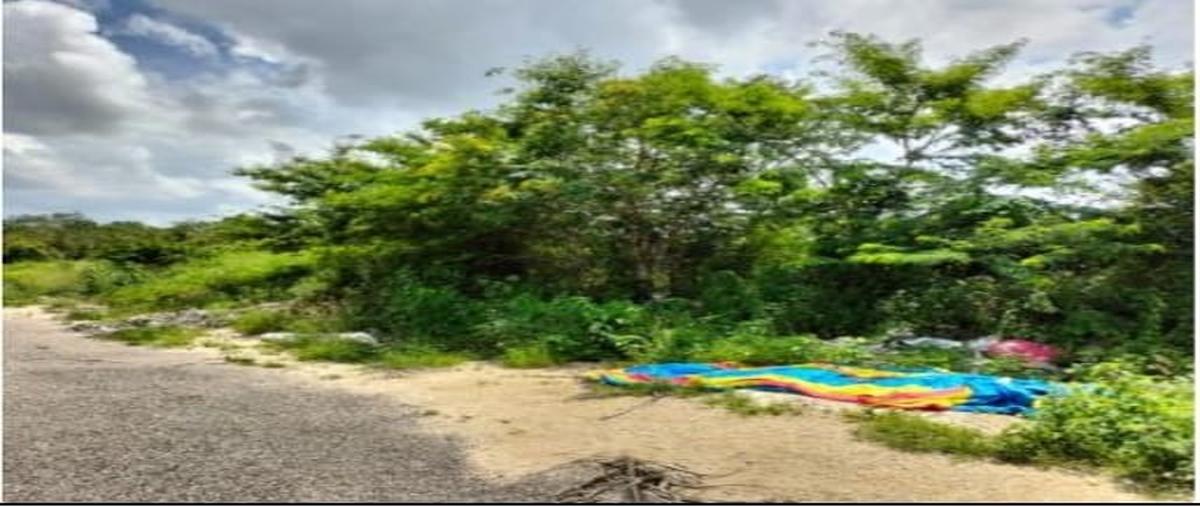 Foto de terreno habitacional en venta en dzitya whi311474, dzitya, mérida, yucatán, 0 No. 03