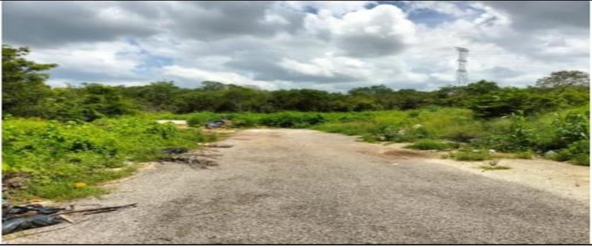 Foto de terreno habitacional en venta en dzitya whi311474, dzitya, mérida, yucatán, 0 No. 05