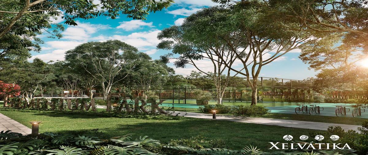 Foto de terreno habitacional en venta en  , dzonot tigre, tizimín, yucatán, 0 No. 03