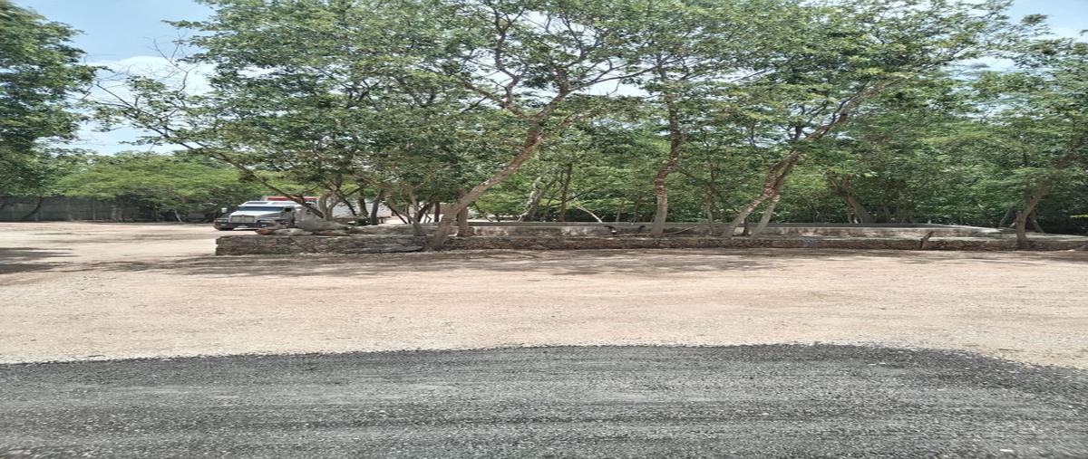 Foto de terreno habitacional en venta en  , dzununcán, mérida, yucatán, 26778663 No. 05