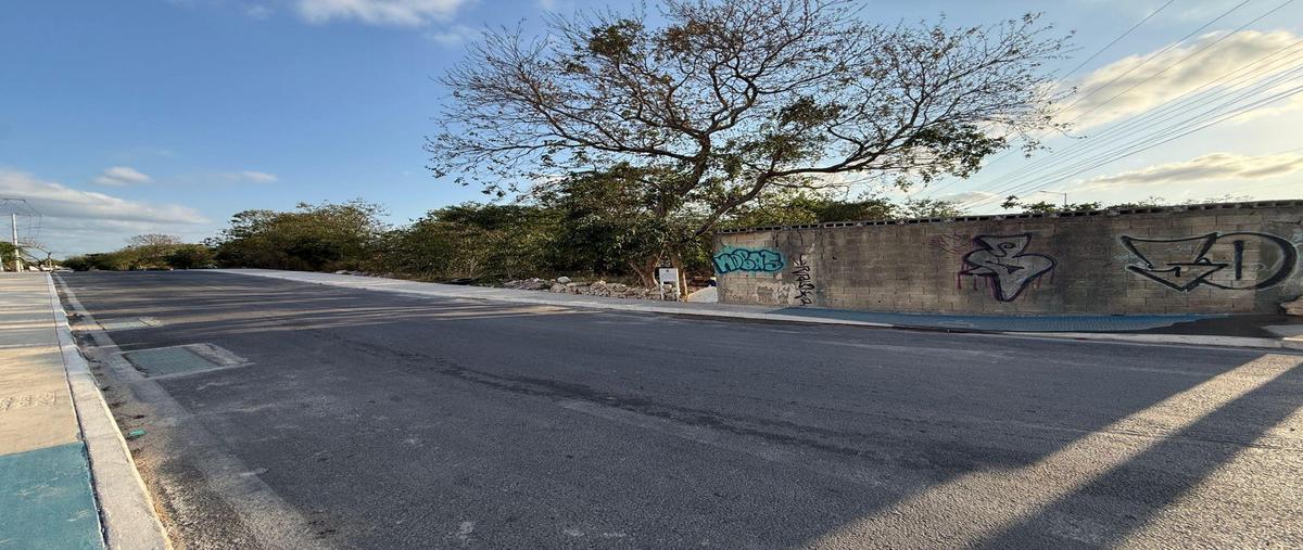 Foto de terreno habitacional en venta en  , dzununcán, mérida, yucatán, 31426544 No. 05