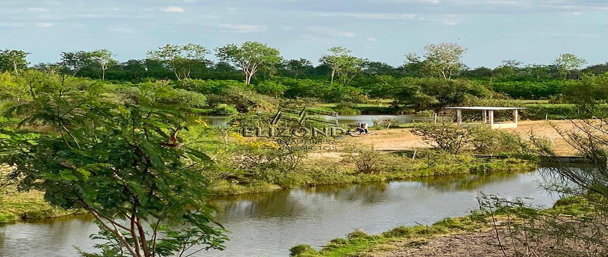 Foto de terreno habitacional en venta en  , ebano centro, ebano, san luis potosí, 28396833 No. 04