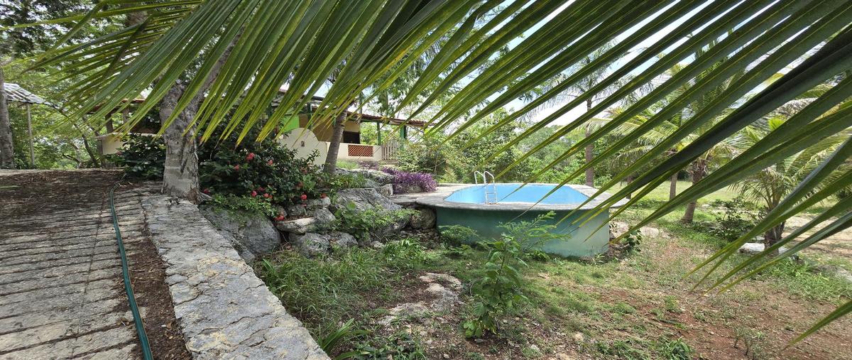 Foto de rancho en venta en  , ebtun, valladolid, yucatán, 0 No. 05