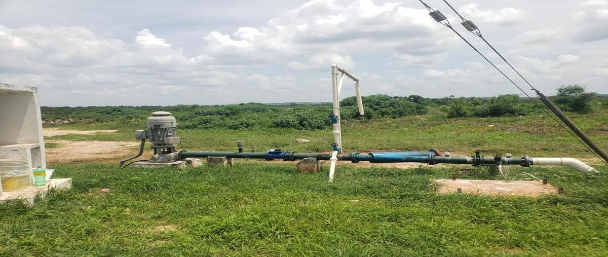 Foto de rancho en e.c. maní , oxkutzcab, oxkutzcab, yucatán, 0 foto 03 Foto de rancho en venta en e.c. maní , oxkutzcab, oxkutzcab, yucatán, 0 No. 03