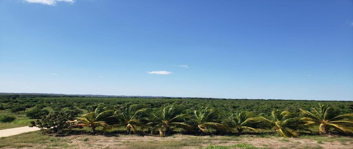 Foto de rancho en e.c. maní , oxkutzcab, oxkutzcab, yucatán, 0 foto 05 Foto de rancho en venta en e.c. maní , oxkutzcab, oxkutzcab, yucatán, 0 No. 05