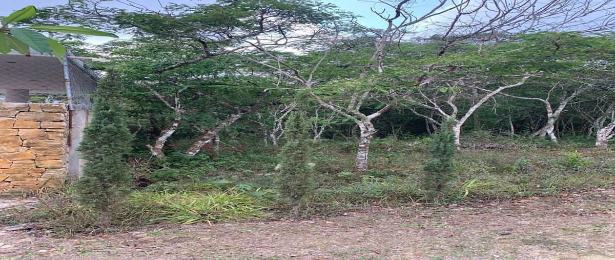 Foto de terreno habitacional en venta en eco resort , nuevo, ocozocoautla de espinosa, chiapas, 0 No. 03