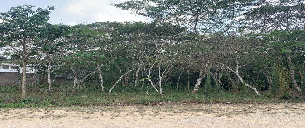 Foto de terreno habitacional en venta en eco resort , nuevo, ocozocoautla de espinosa, chiapas, 0 No. 04