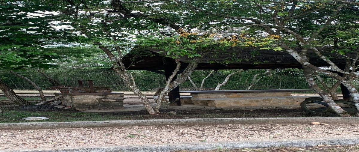 Foto de terreno habitacional en venta en eco resort , nuevo, ocozocoautla de espinosa, chiapas, 0 No. 05