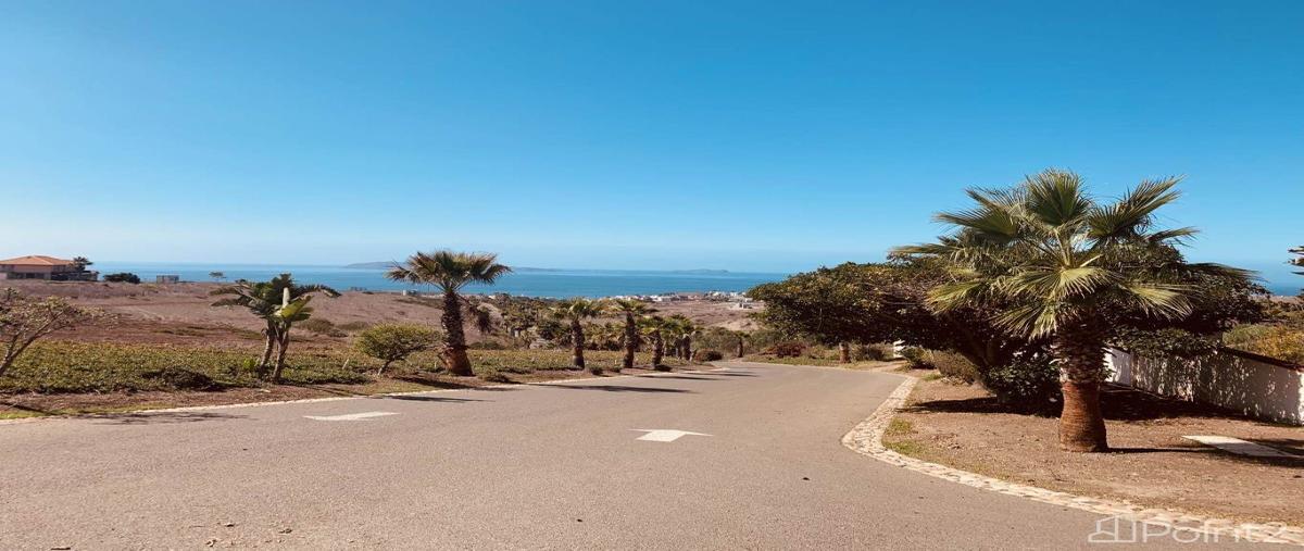 Foto de terreno habitacional en ecuestre , real del mar, tijuana, baja california, 27639257 foto 02 Foto de terreno habitacional en venta en ecuestre , real del mar, tijuana, baja california, 27639257 No. 02