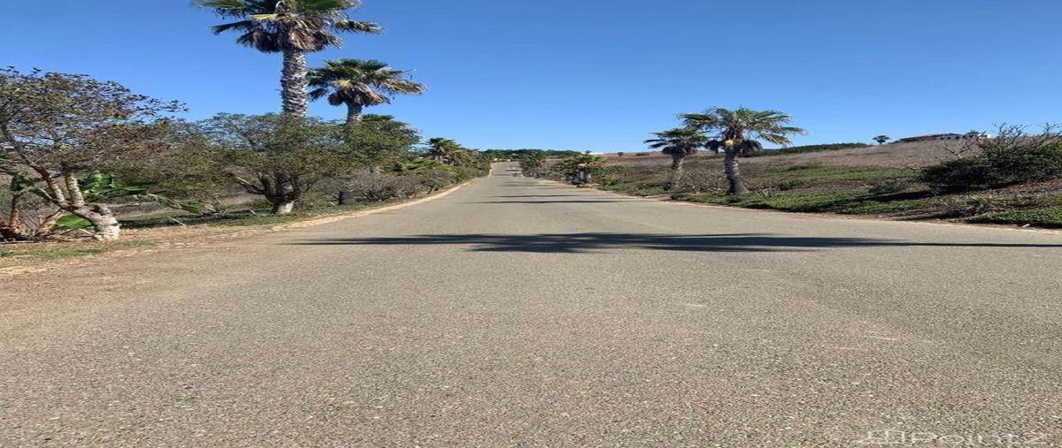 Foto de terreno habitacional en ecuestre , real del mar, tijuana, baja california, 27639257 foto 05 Foto de terreno habitacional en venta en ecuestre , real del mar, tijuana, baja california, 27639257 No. 05