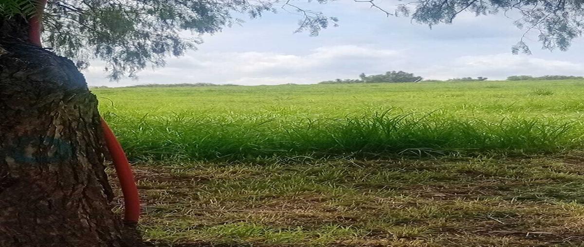Foto de terreno habitacional en venta en eden , el edén, aguascalientes, aguascalientes, 30085317 No. 04