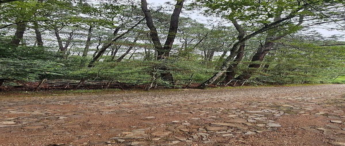 Foto de terreno habitacional en eduardo montaño sahagon , mazamitla, mazamitla, jalisco, 0 foto 02 Foto de terreno habitacional en venta en eduardo montaño sahagon , mazamitla, mazamitla, jalisco, 0 No. 02