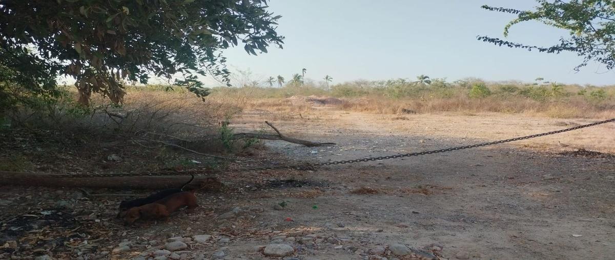Foto de terreno habitacional en venta en  , educación, puerto vallarta, jalisco, 0 No. 11
