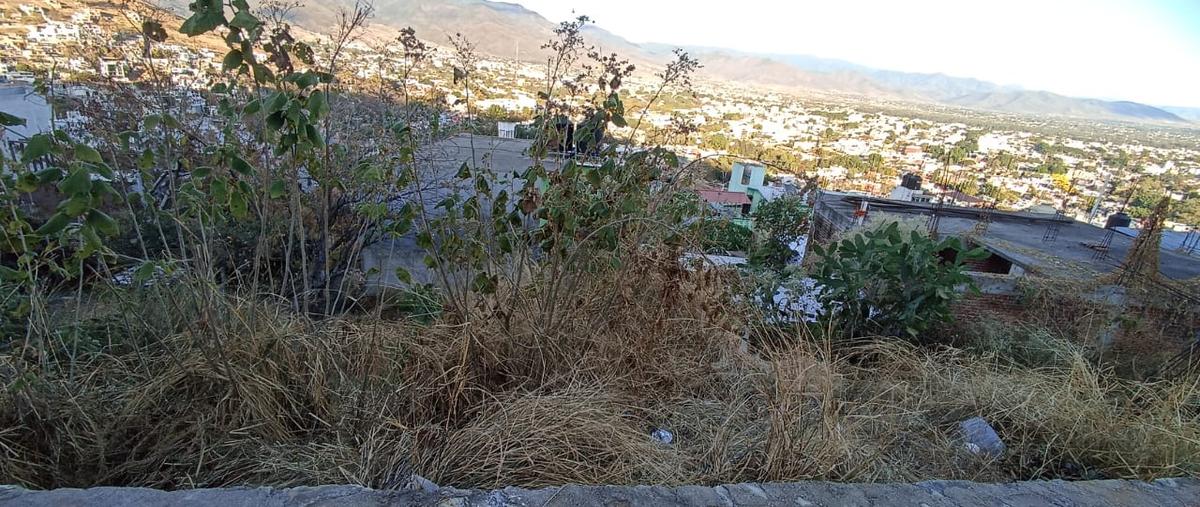 Foto de terreno habitacional en venta en efren diaz cervantes, l-16, manzana g , aurora, oaxaca de juárez, oaxaca, 29366610 No. 03