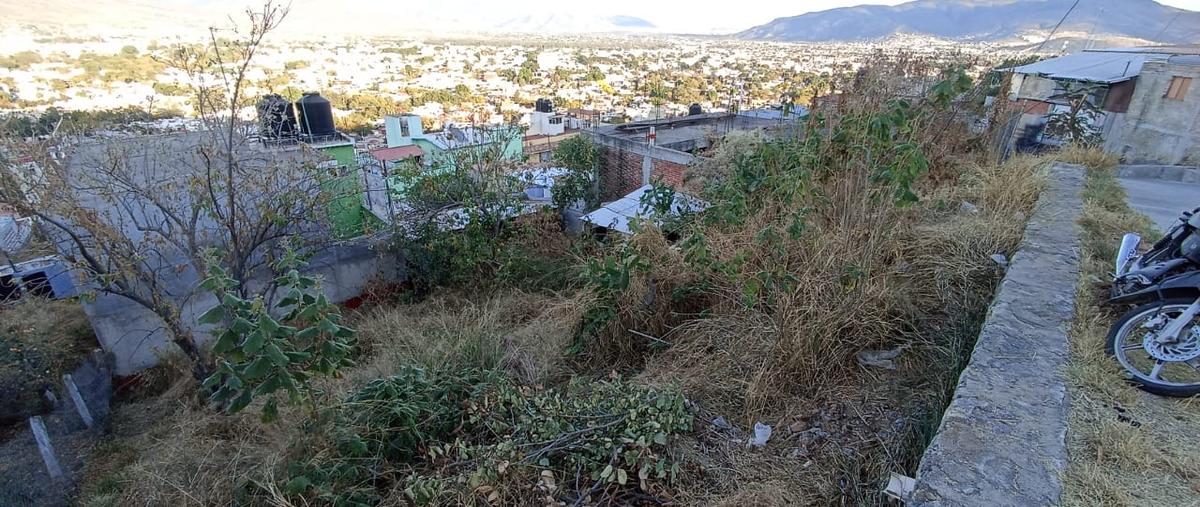 Foto de terreno habitacional en venta en efren diaz cervantes, l-16, manzana g , aurora, oaxaca de juárez, oaxaca, 29366610 No. 05