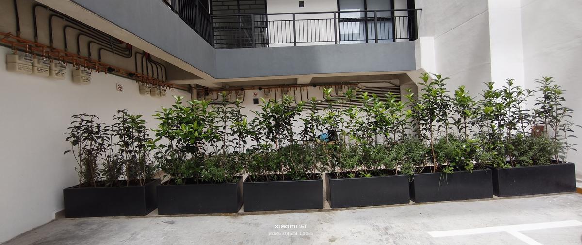 Foto de departamento en renta en eje central lazaro cardenas , obrera, cuauhtémoc, df / cdmx, 0 No. 03