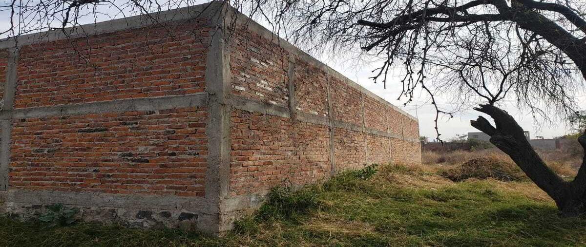 Foto de terreno habitacional en venta en ejercito constitucionalista , potrero nuevo, el salto, jalisco, 0 No. 04