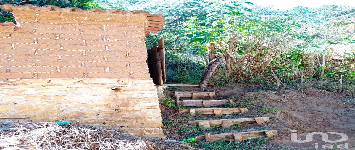 Foto de terreno habitacional en venta en ejército nacional , cuxtitali, san cristóbal de las casas, chiapas, 0 No. 04