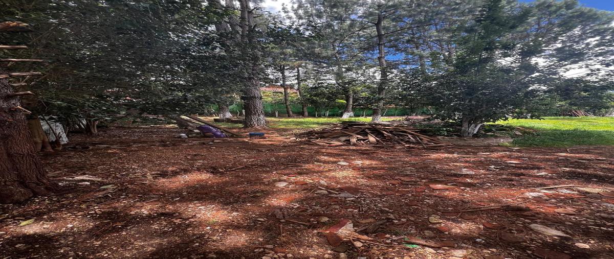 Foto de terreno habitacional en venta en ejército nacional , cuxtitali, san cristóbal de las casas, chiapas, 31540602 No. 03