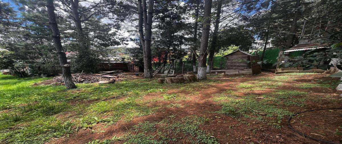 Foto de terreno habitacional en venta en ejército nacional , cuxtitali, san cristóbal de las casas, chiapas, 31540602 No. 05