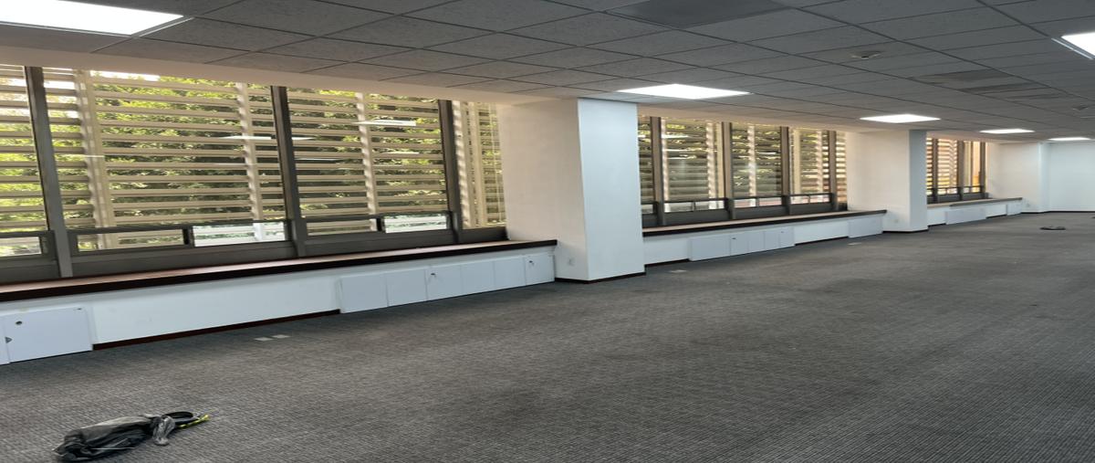 Foto de oficina en renta en ejercito nacional , granada, miguel hidalgo, df / cdmx, 31226071 No. 05