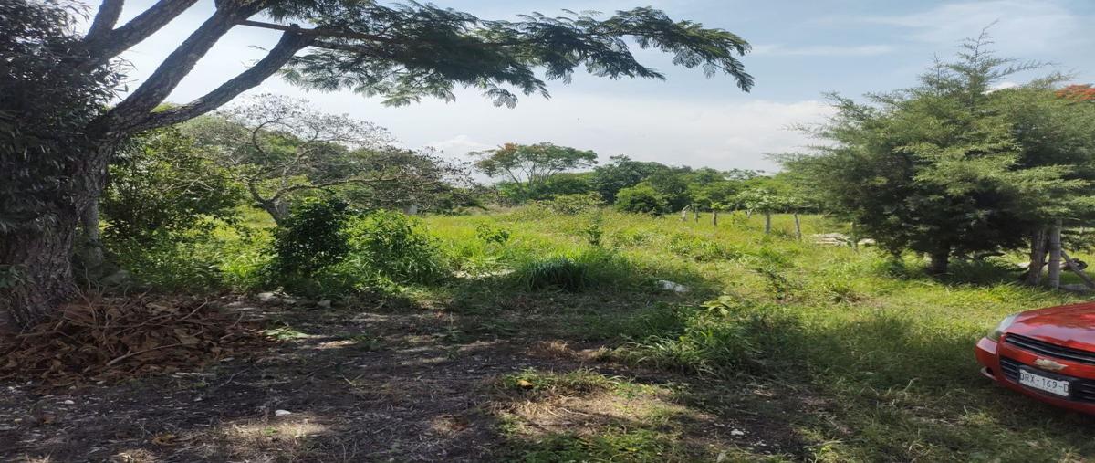 Foto de terreno habitacional en venta en ejidal , berriozabal centro, berriozábal, chiapas, 28553052 No. 04