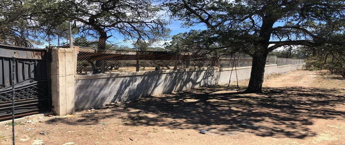 Foto de rancho en renta en  , ejidal, durango, durango, 0 No. 03