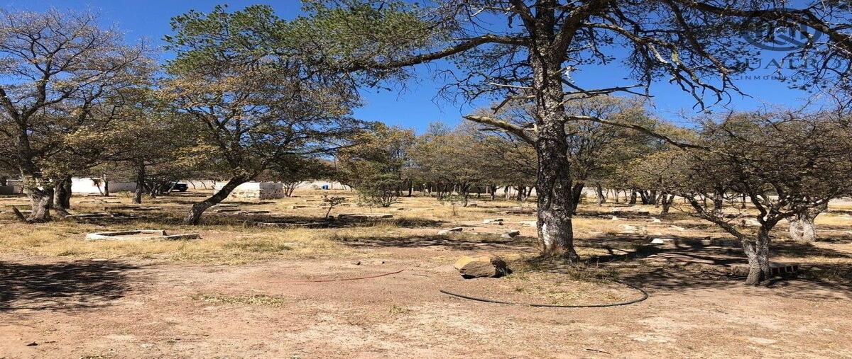Foto de rancho en renta en  , ejidal, durango, durango, 0 No. 04
