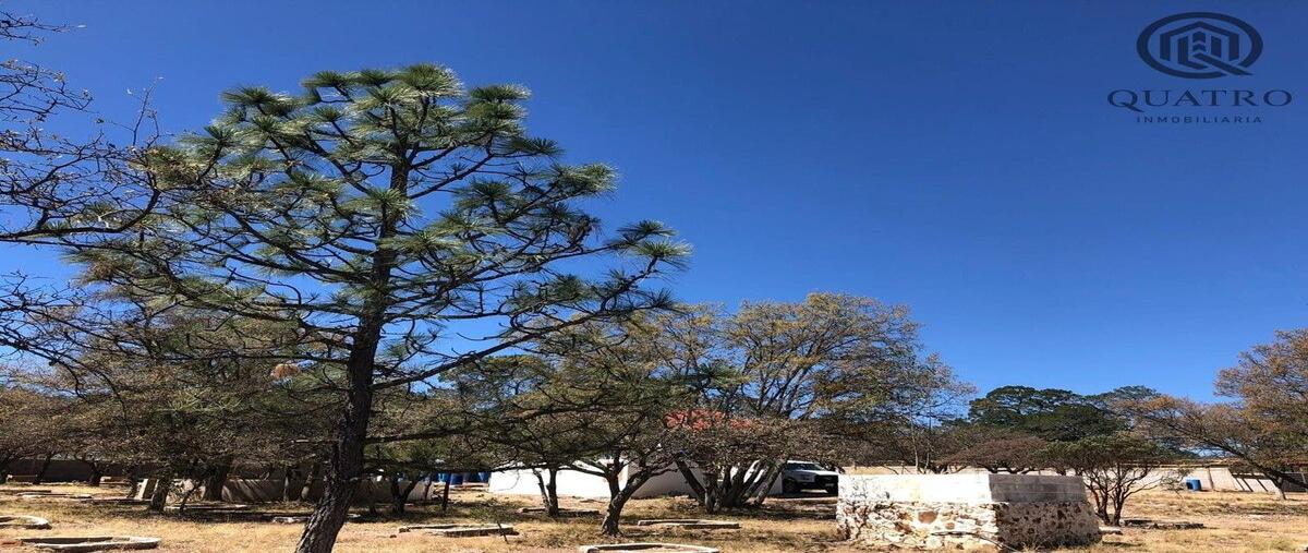 Foto de rancho en renta en  , ejidal, durango, durango, 0 No. 05