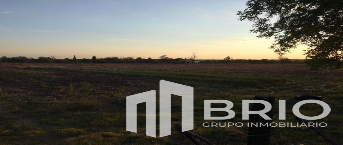 Foto de terreno habitacional en venta en  , ejidal, nombre de dios, durango, 27878026 No. 03