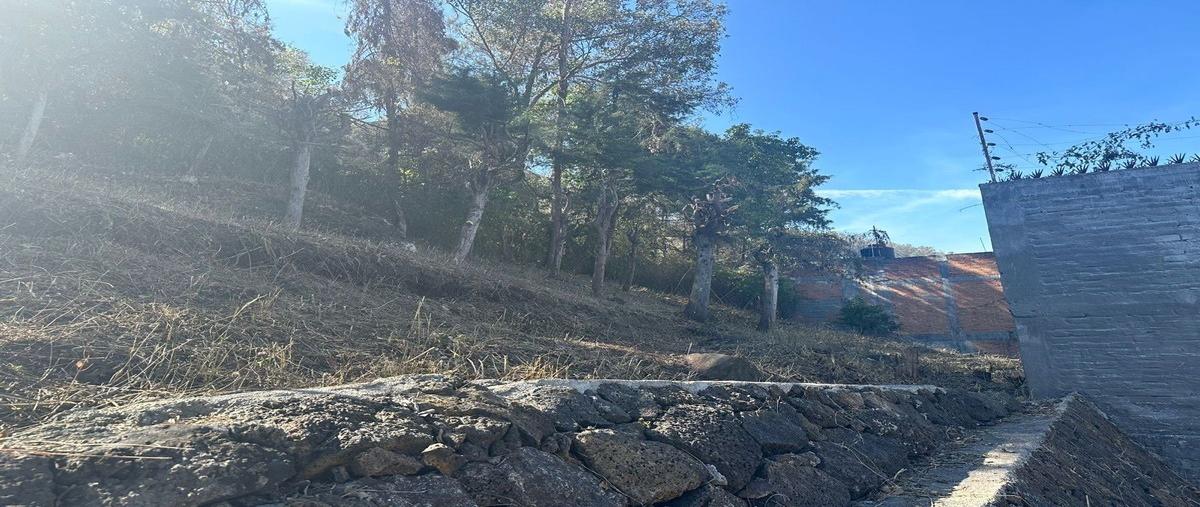 Foto de terreno habitacional en venta en  , ejidal ocolusen, morelia, michoacán de ocampo, 26010505 No. 03