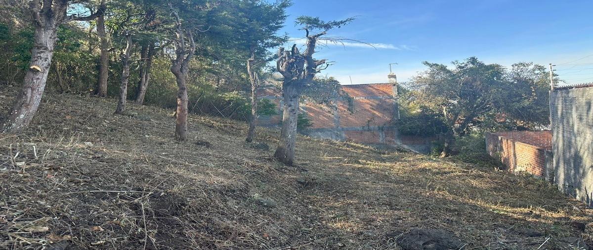 Foto de terreno habitacional en venta en  , ejidal ocolusen, morelia, michoacán de ocampo, 26010505 No. 04