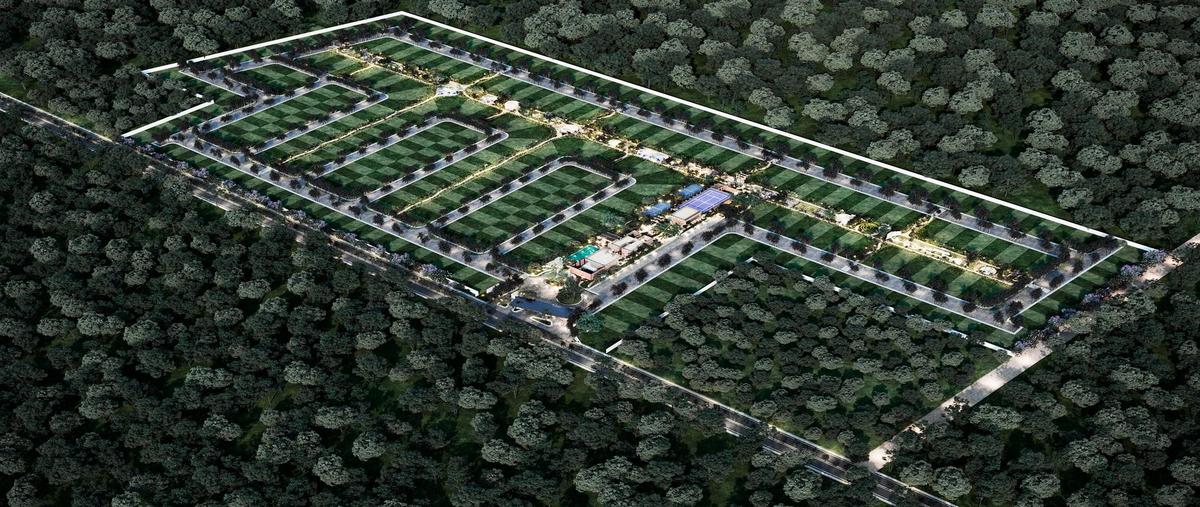 Foto de terreno habitacional en venta en  , ejidal, solidaridad, quintana roo, 0 No. 05