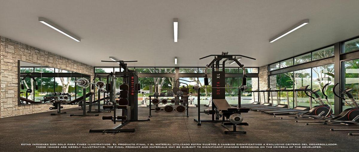 Foto de terreno habitacional en venta en  , ejidal, solidaridad, quintana roo, 0 No. 04