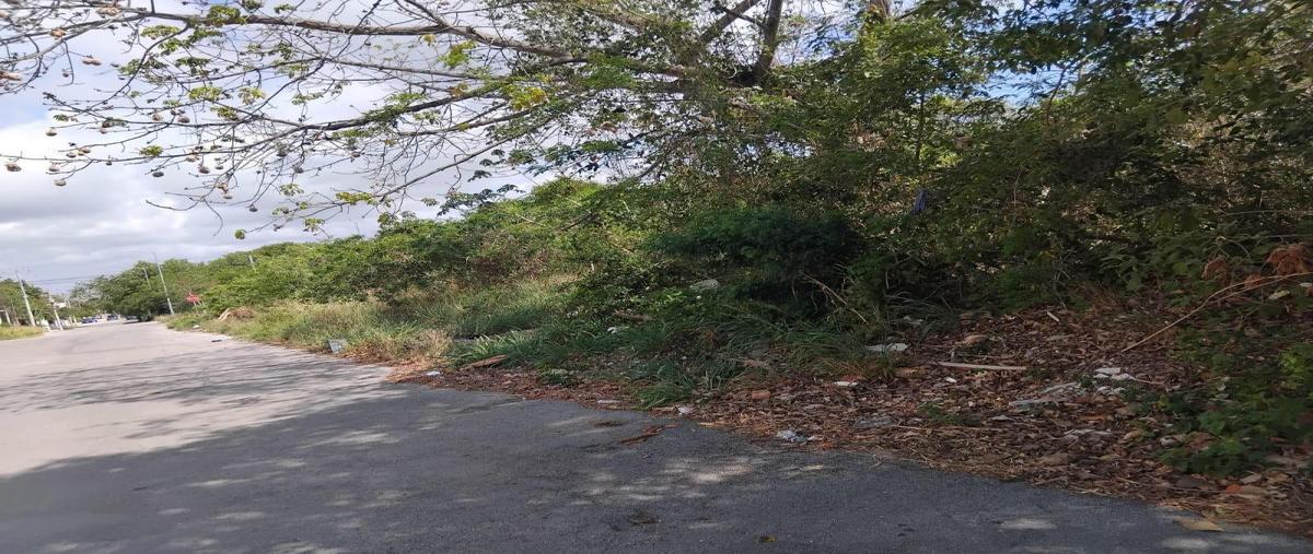Foto de terreno habitacional en venta en  , ejidal, solidaridad, quintana roo, 0 No. 05