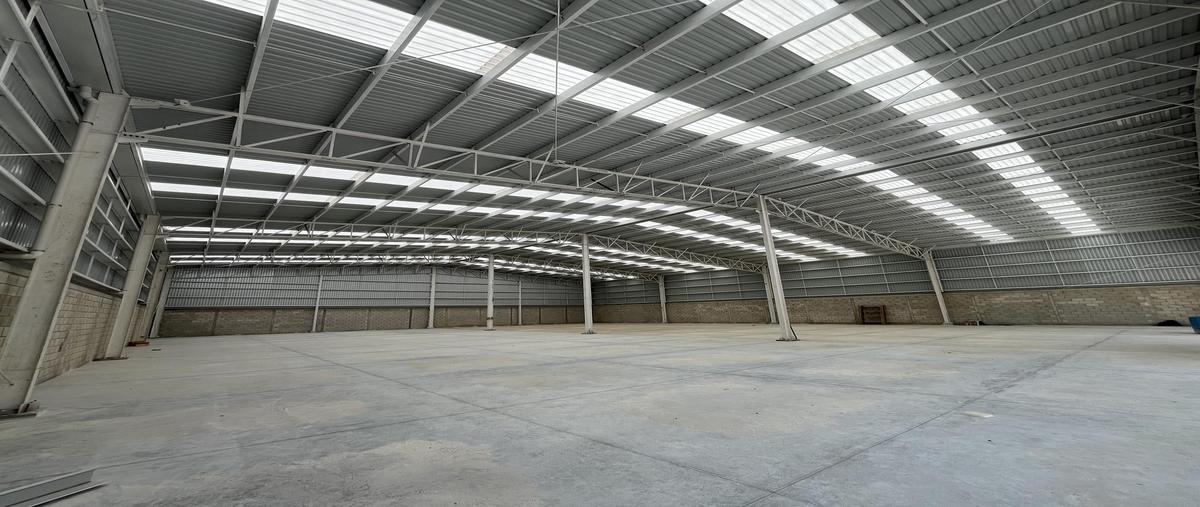 Foto de local en , ejidal, solidaridad, quintana roo, 30134499 foto 03 Foto de local en renta en , ejidal, solidaridad, quintana roo, 30134499 No. 03