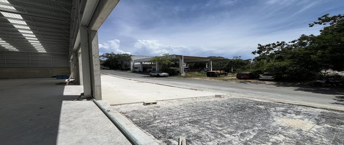 Foto de local en , ejidal, solidaridad, quintana roo, 30134499 foto 04 Foto de local en renta en , ejidal, solidaridad, quintana roo, 30134499 No. 04