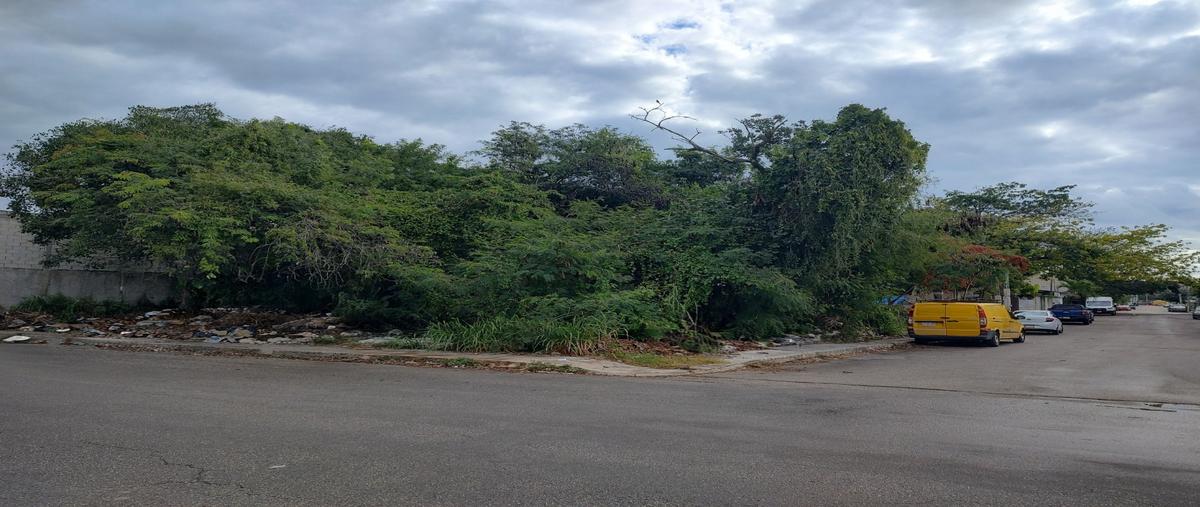 Foto de terreno habitacional en , ejidal, solidaridad, quintana roo, 30883259 foto 01 Foto de terreno habitacional en venta en , ejidal, solidaridad, quintana roo, 30883259 No. 01