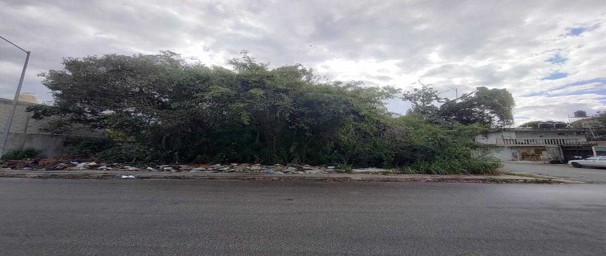 Foto de terreno habitacional en , ejidal, solidaridad, quintana roo, 30883259 foto 04 Foto de terreno habitacional en venta en , ejidal, solidaridad, quintana roo, 30883259 No. 04