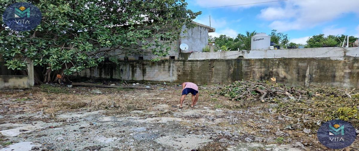 Foto de terreno habitacional en , ejidal, solidaridad, quintana roo, 0 foto 02 Foto de terreno habitacional en renta en , ejidal, solidaridad, quintana roo, 0 No. 02