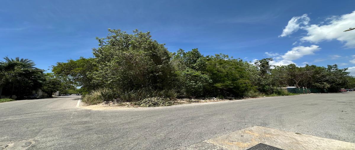 Foto de terreno habitacional en venta en  , ejidal, solidaridad, quintana roo, 0 No. 05
