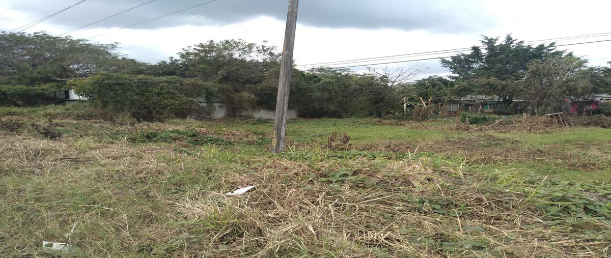 Foto de terreno habitacional en venta en  , ejido 1, álamo temapache, veracruz de ignacio de la llave, 0 No. 05