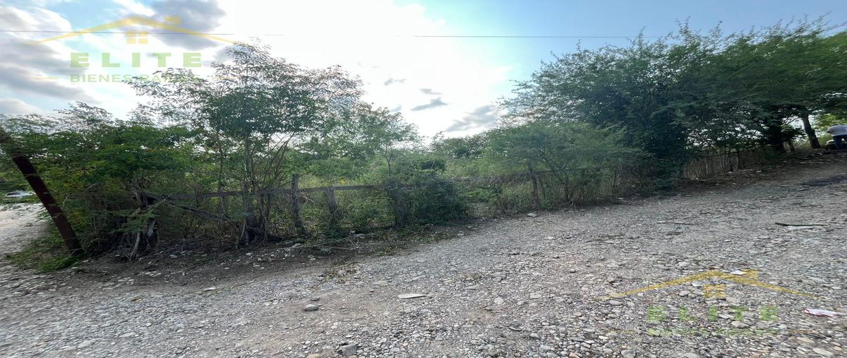 Foto de terreno habitacional en venta en  , ejido 20 de noviembre, ebano, san luis potosí, 0 No. 04