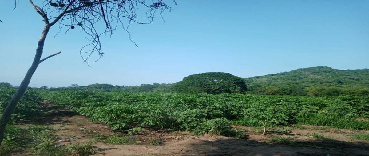 Foto de terreno habitacional en venta en ejido abelardo rodríguez , vista del mar, manzanillo, colima, 25323208 No. 03