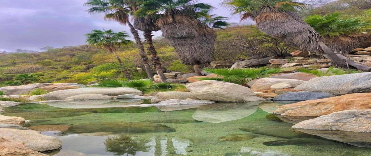 Foto de terreno habitacional en ejido agua caliente 0, santiago, los cabos, baja california sur, 27649983 foto 03 Foto de terreno habitacional en venta en ejido agua caliente 0, santiago, los cabos, baja california sur, 27649983 No. 03